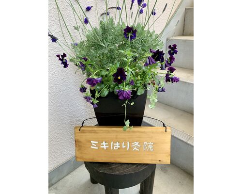 AEB48A58-9E8F-4D3C-A34D-0874D1A284AB