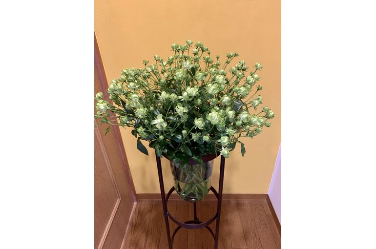 35877A93-2C5D-4D31-BE6A-A7085CFA2E84