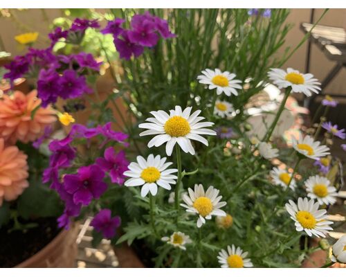 70336109-0D5C-45DD-A136-4E954313B77D