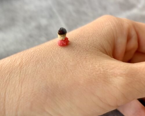 BB020352-E587-4119-95A5-4F0E302570EE